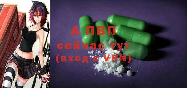 винт Каменка