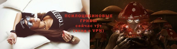 винт Каменка