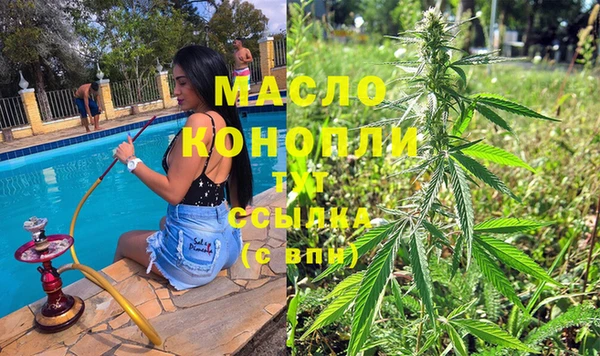 винт Каменка
