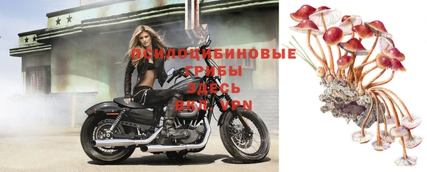 винт Каменка