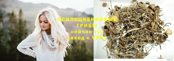 прущий лед Касимов