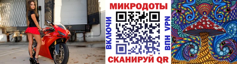 Псилоцибиновые грибы Psilocybe  Купить где  Богучар 