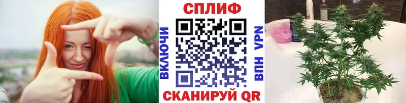 Марихуана тримм  Купить закладки  Богучар 
